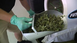 How CBD is made in Wisconsin