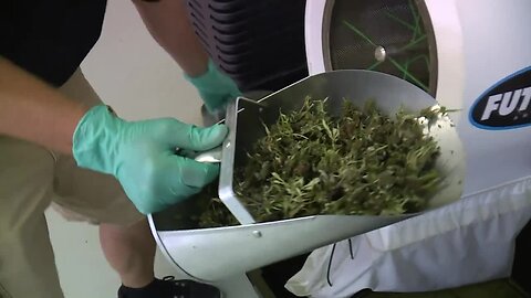 How CBD is made in Wisconsin