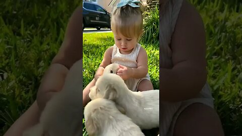 Cute baby girl and cute dog#shorts