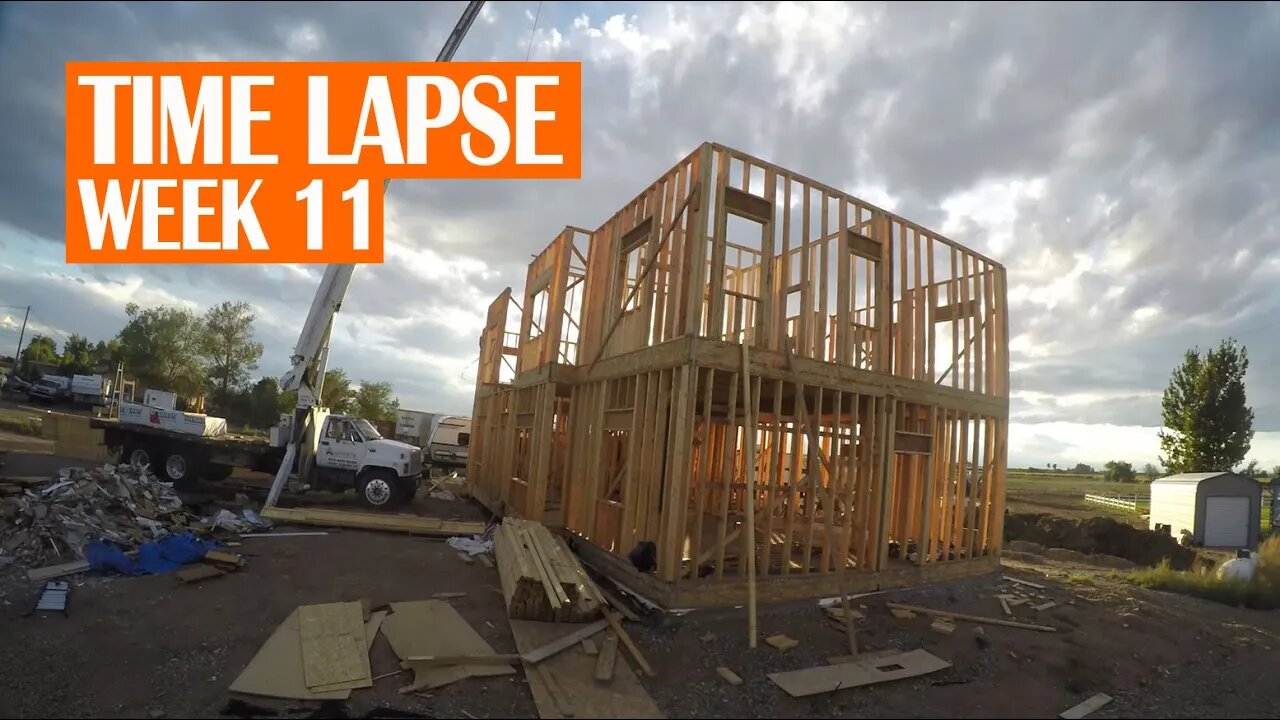 CONSTRUCTION TIME LAPSE | WEEK 11