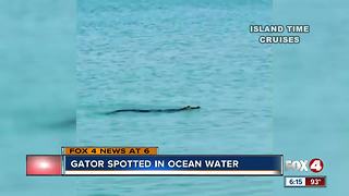 Alligator seen swimming off Southwest Florida beach Monday