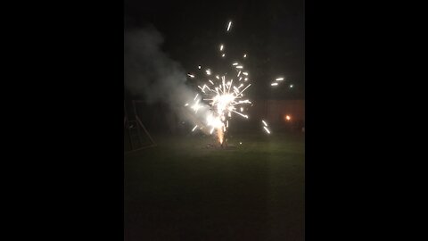 My 4th of July fireworks and Trump Won Party