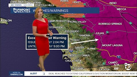 ABC 10News Pinpoint Weather with Meteorologist Leah Pezzetti