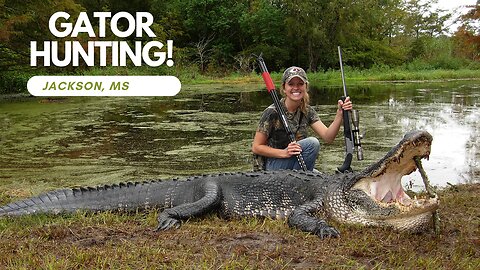 Massive 12 ft Alligator!