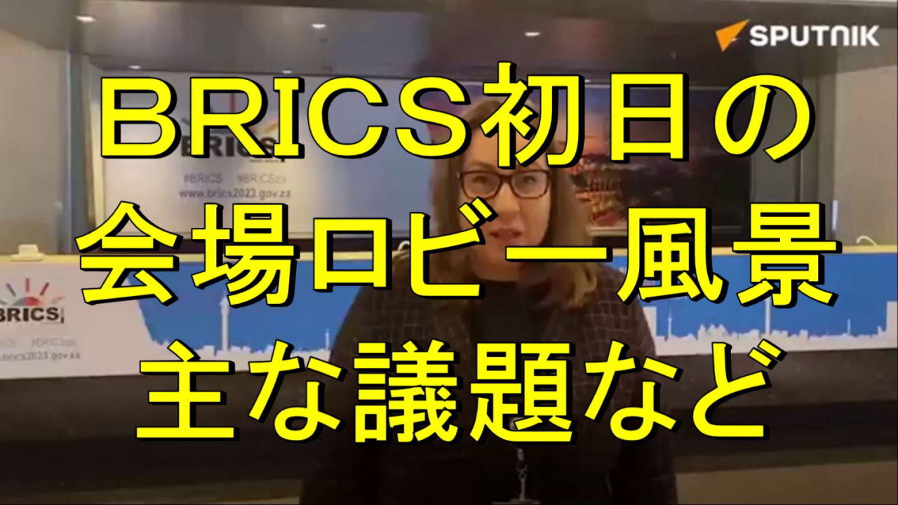 BRICSサミット初日では、拡大の可能性が主な議題だった。