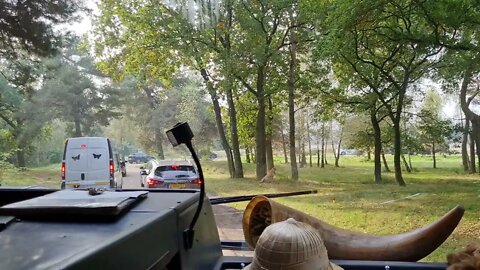 BEEKSEBERGEN: BUS SAFARI CHEETAHS JACHTLUIPAARDEN