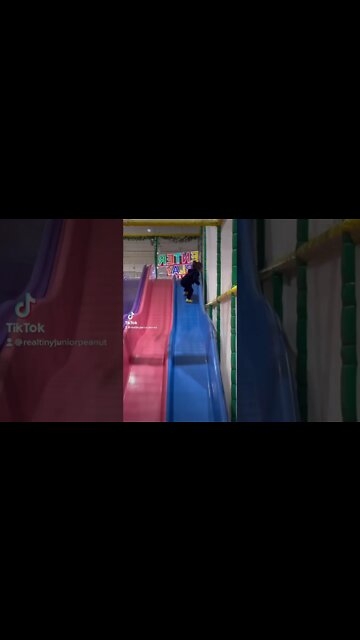 #shorts by #tinyjuniorpeanut at #activatestudio #kalamazoo