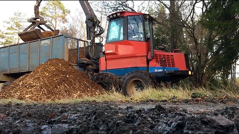 Forestry Work in Sweden