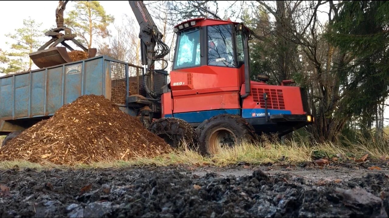 Forestry Work in Sweden