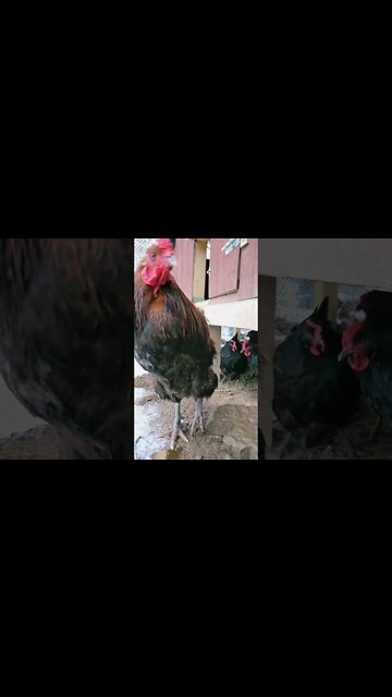 Winter Storm Is Here!