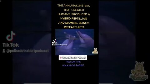 #shorts 🤯#annunaki #dolphins #science #humans #neteru #freedryork #aliens