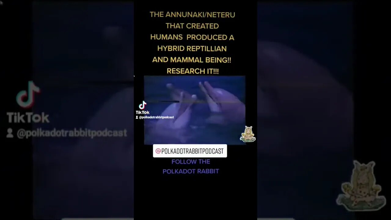 #shorts 🤯#annunaki #dolphins #science #humans #neteru #freedryork #aliens