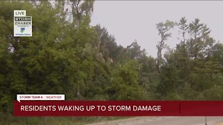 Residents wake up to tree damage in Concord