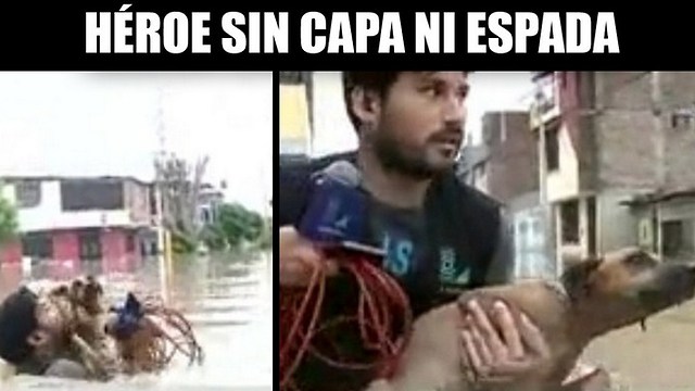 Periodista interrumpe transmisión en vivo para rescatar a una perrita que se ahogaba