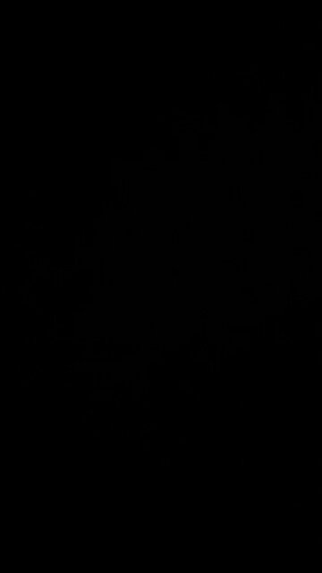 Pete’s run production