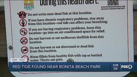 Red tide bloom present in GUlf