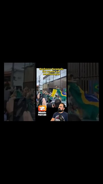 Cachorro Caramelo faz sucesso em Manifestação