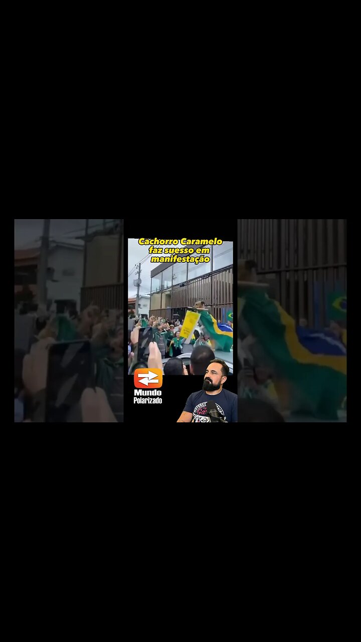 Cachorro Caramelo faz sucesso em Manifestação