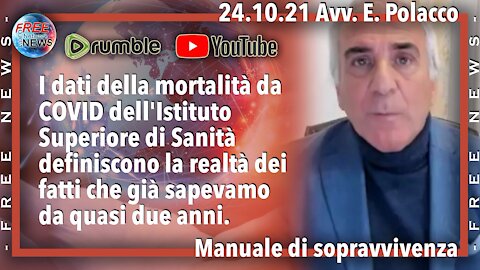 24.10.21 Avv. Polacco: manuale di sopravvivenza.