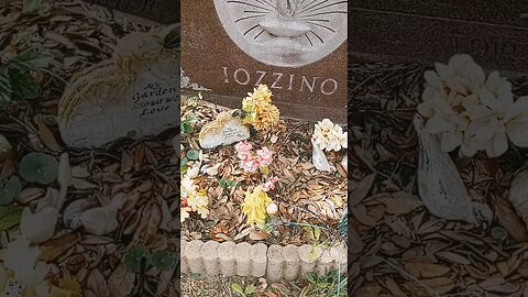 #taohophile #cemetery