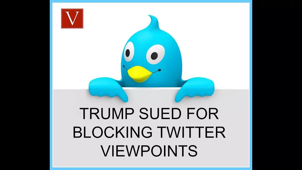 ACLU sues Trump for blocking twitter viewpoints (1st Amendment)