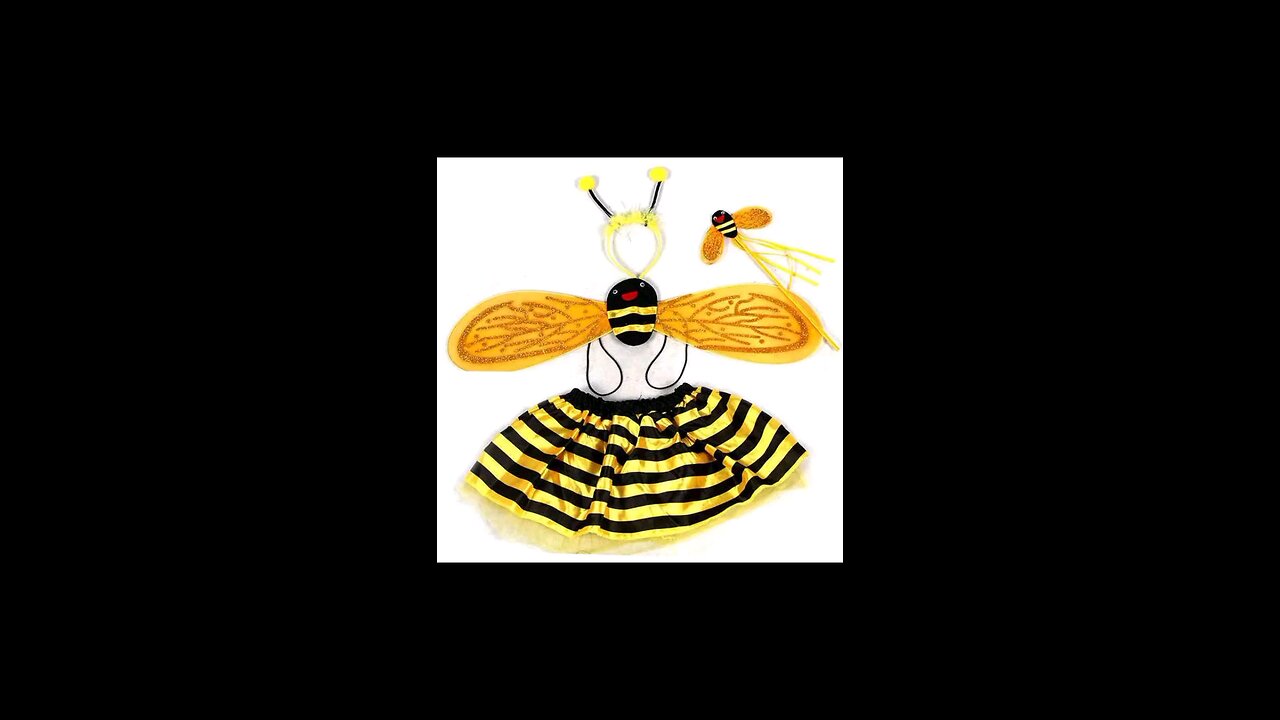 Kids Dance Birthday Bee Wings Costume Set Stage Performance