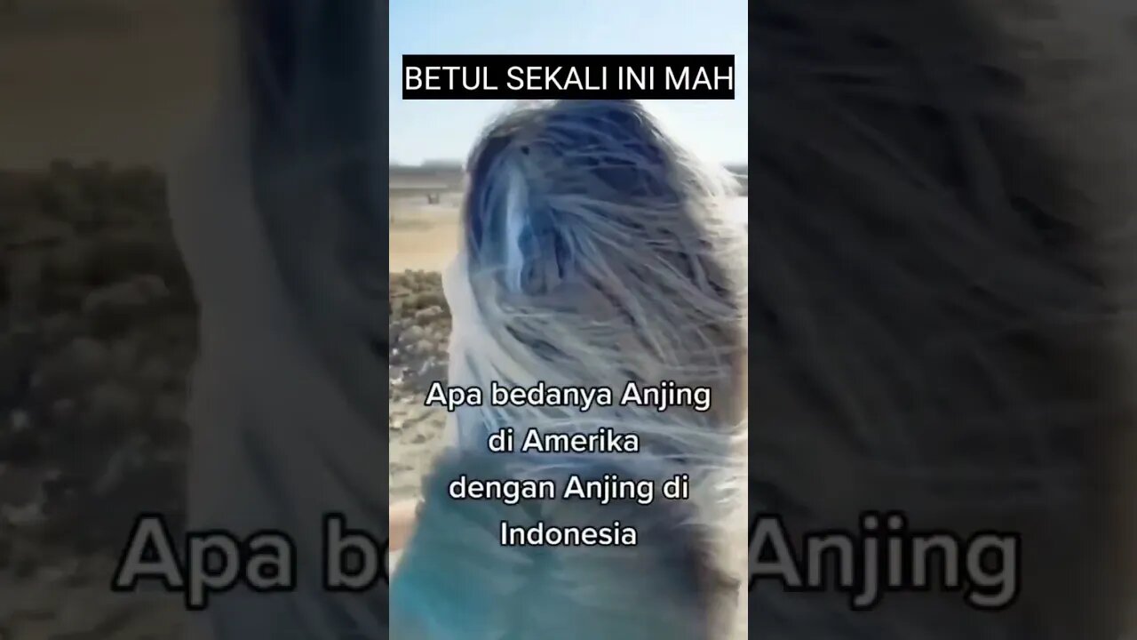 #shorts#videoshorts#youtuberpemula#videolucu#ngakak#videongakak#memeindonesia#meme