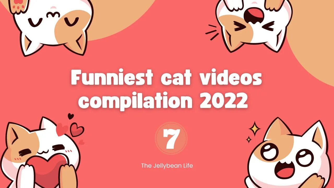 Funniest Cat Videos Compilation 2022😺 | Cats Can Make you Laugh within Minutes😹| Part 7