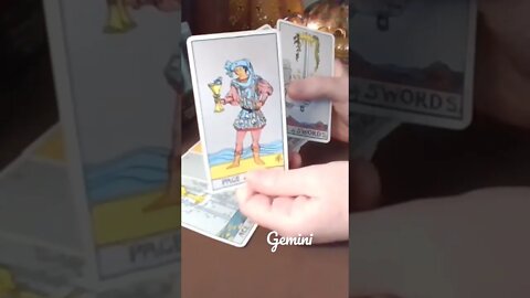 Gemini ♥️ A Genuine Romantic Interest #tarot #zodiac #astrology #horoscope #tarotreading