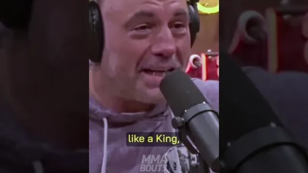 Izzy: A King even in Defeat #shorts #joerogan #ufc #steveo