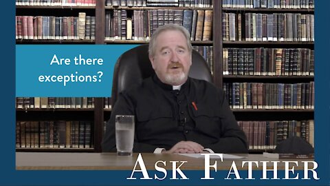 How Could Mary be Conceived Without Sin? | Ask Father with Fr. Paul McDonald