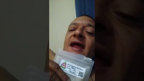 Wonderland Gardens Review - Bala Powder