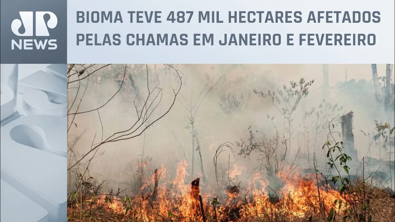 Amazônia reúne 90% dos focos de incêndio no início de 2023, diz MapBiomas