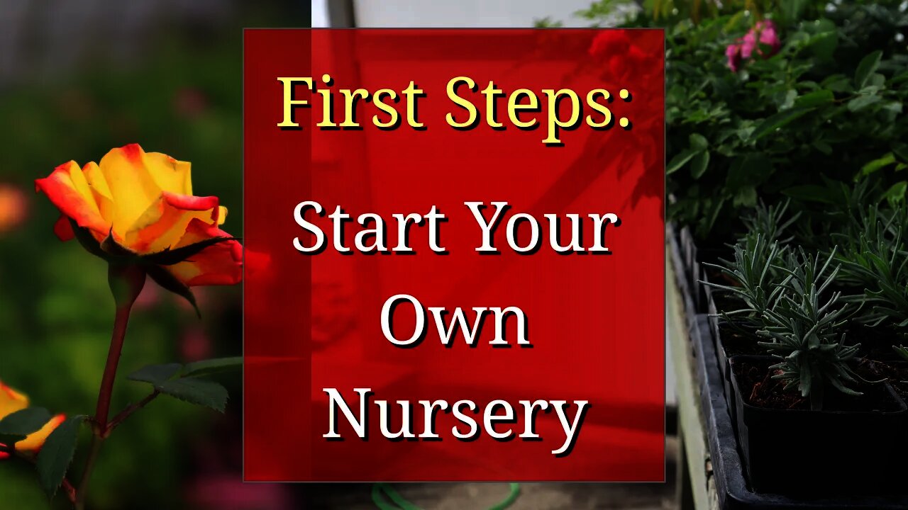 First Steps to Start a Plant Nursery