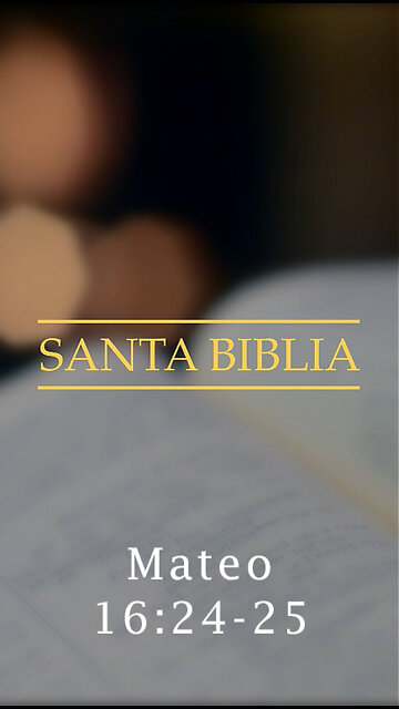 Mateo 16:24-25
