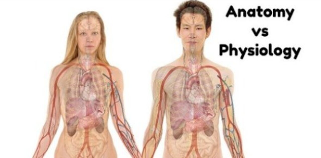 Human Anatomy and Physiology | Learn Human Anatomy and Physiology today