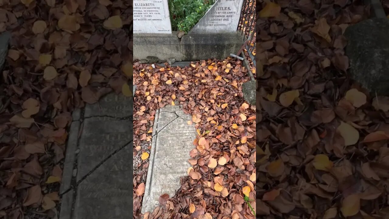 Exploring the Intricate Beauty of a Broken Cemetery Plot