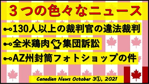 裁判官の不正行為/全米鶏肉集団訴訟/AZ州フォトショップの件