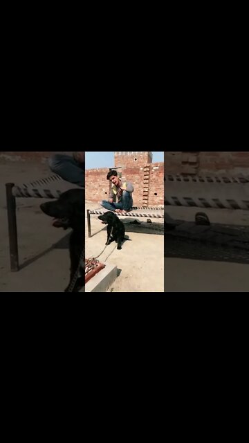 Watch till end 🔚😂#Shorts #ytshorts #Bantasticfun #Funny #Comedy #gags #entertainment