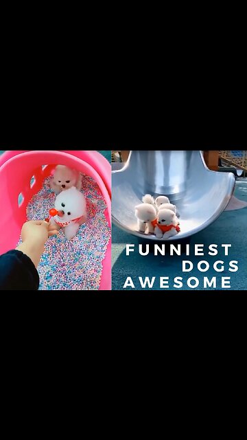 Funny Moments Of The Year Compilation #5