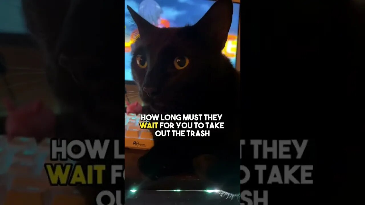 You might wanna get on that😅 #cat #blackcat #leonthecatdad #relationship #relatable