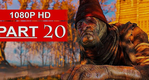 THE WITCHER 3 PART 20