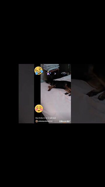 Max, thinks it's ok to talk back.