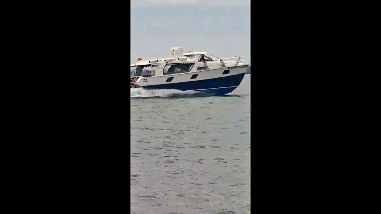Jim Pauling Yacht Design WASP 1302