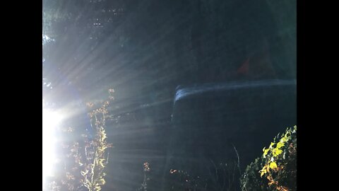 10 Days of Light, Manifesting and Meditation