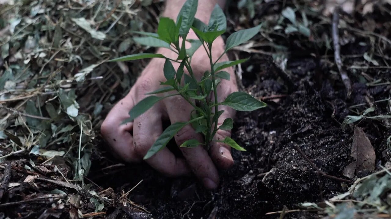 The Best Gardening Method