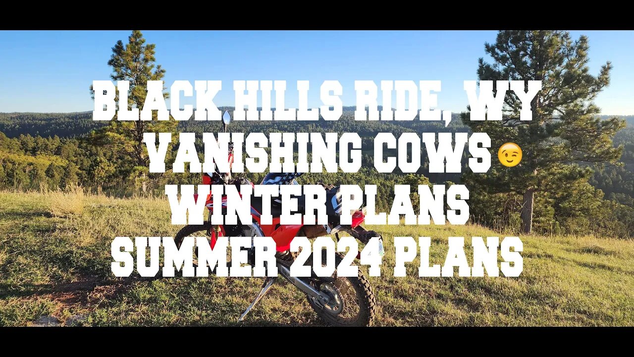 Blacktail Trail | Black Hills WY | Vanishing Cows | Winter Plans | Summer 2024 Plans