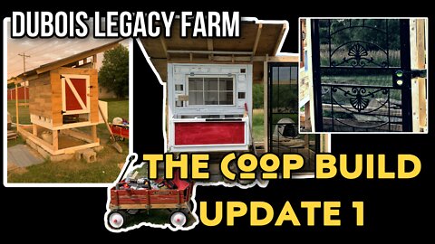 The Coop Build: Update 1 - We are building an awesome chicken coop