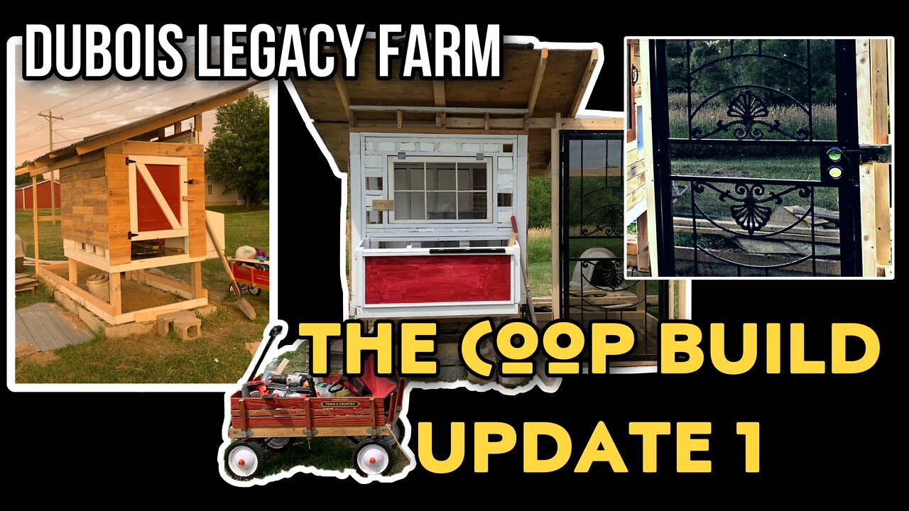 The Coop Build: Update 1 - We are building an awesome chicken coop