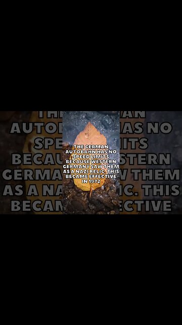 Incredible Random Facts That Will Expand Your Mind! [2023] #shorts #facts #viralshorts #fyp #life